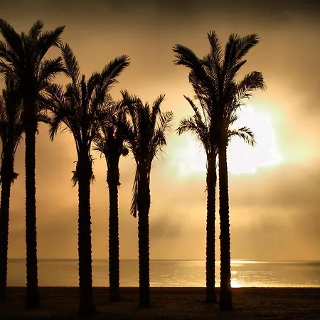 Lägenhet Estrella De Mar *